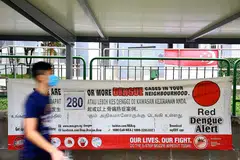 PRIHATIN: Sejumlah 22,403 kes denggi dilaporkan telah berlaku sejauh ini pada tahun ini. - Foto ZAOBAO