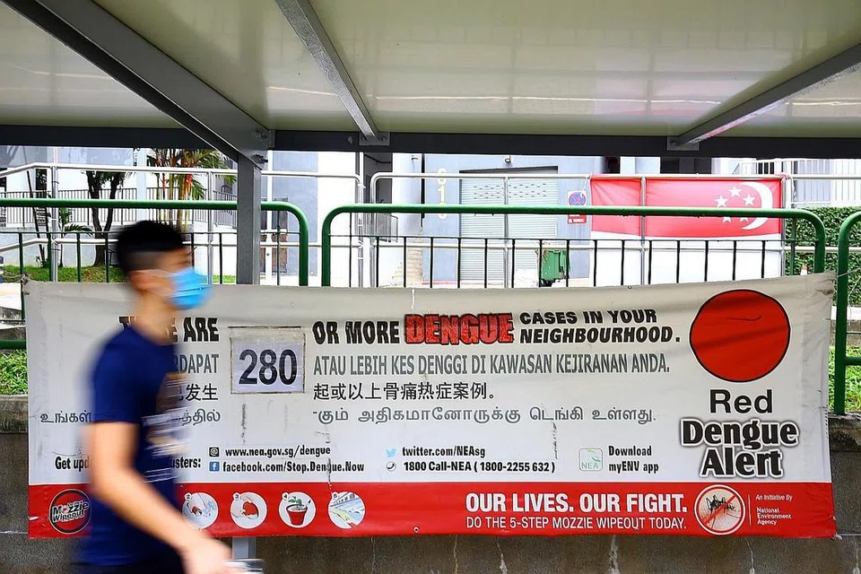 PRIHATIN: Sejumlah 22,403 kes denggi dilaporkan telah berlaku sejauh ini pada tahun ini. - Foto ZAOBAO
