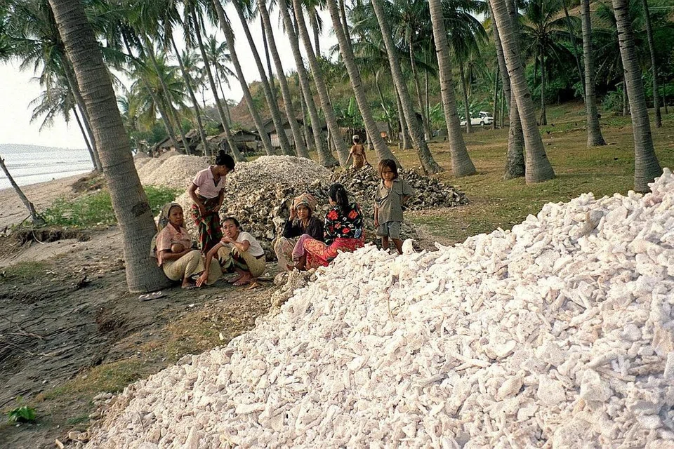 AMALAN SEJAK DULU: Di pulau Lombok, kaum Sasak (gambar atas) masih meneruskan tradisi berabad-abad "menculik pengantin" - wanita dilarikan oleh bakal suaminya sebelum berkahwin. Oleh kerana perkahwinan seperti ini kerap tidak didaftar secara rasmi dan pasangan tidak mempunyai sijil kahwin, kaum perempuan muda itu sering dinafikan hak terutama apabila berlaku perceraian. - Foto fail