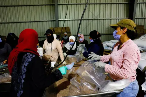 Syria, United Nations, UN, PBB, Sweida, WFP