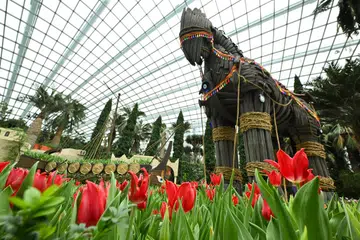 KEMBARA SEJARAH: Pameran ‘Tulipmania’ di Gardens by the Bay menampilkan simbol ikonik Kuda Trojan setinggi hampir enam meter. 