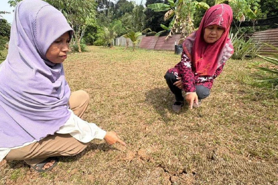 Gempa di Johor, sesar Mersing