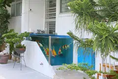 UNIK: Pemilik tangki ikan koi yang dibina di pintu masuk flat di Tampines ini telah menghubungi Majlis Bandaran bagi mendapat permohonan secara rasmi bagi menyimpan tangki ikan itu. - Foto BH oleh JONATHAN CHOO
