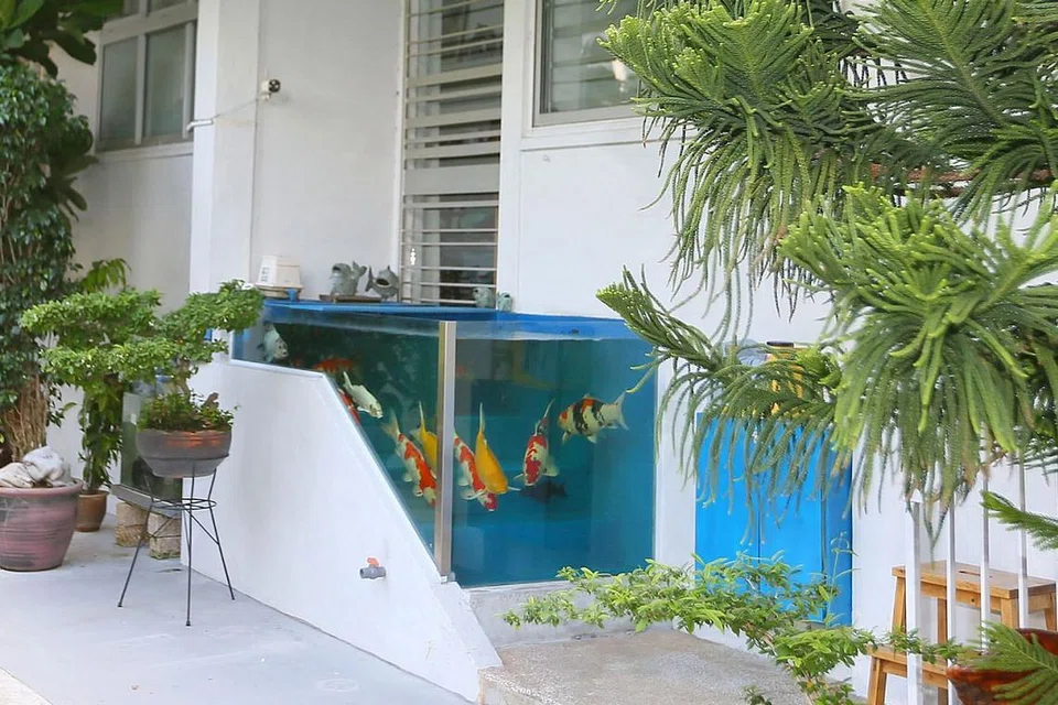 UNIK: Pemilik tangki ikan koi yang dibina di pintu masuk flat di Tampines ini telah menghubungi Majlis Bandaran bagi mendapat permohonan secara rasmi bagi menyimpan tangki ikan itu. - Foto BH oleh JONATHAN CHOO