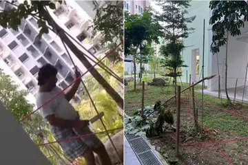 LELAKI DIKEHENDAKI: Orang yang menebang pokok boleh didenda sekiranya didapati bersalah.