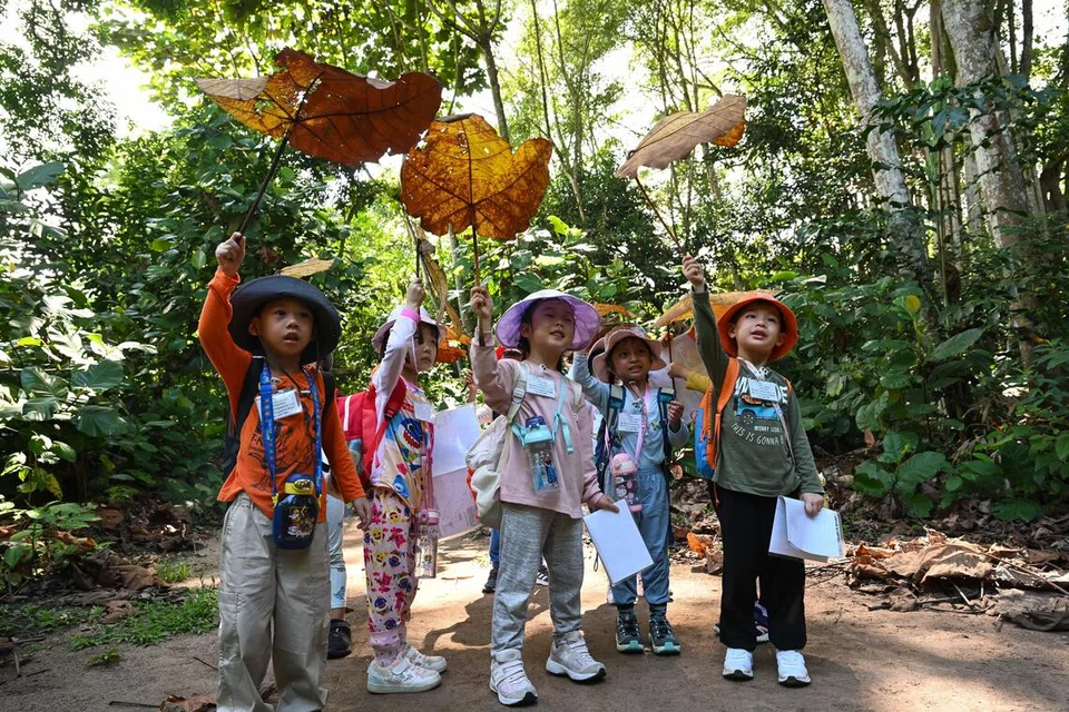 My First Skool, Outdoor Learning, Outdoor School Singapore (OSS), NTUC First Campus