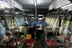GAJI MINIMUM LEBIH TINGGI: Dua pekerja sedang bertugas di sebuah kilang membuat sarung tangan getah di Klang, Selangor. Kerajaan Malaysia menaikkan gaji bulanan minimum kepada RM1,500 daripada RM1,200 bagi syarikat yang menggajikan sekurang-kurangnya lima pekerja mulai 1 Mei lalu. Pelaksanaan gaji minimum baru itu akan berkuat kuasa sepenuhnya menjelang pertengahan tahun depan. - Foto fail