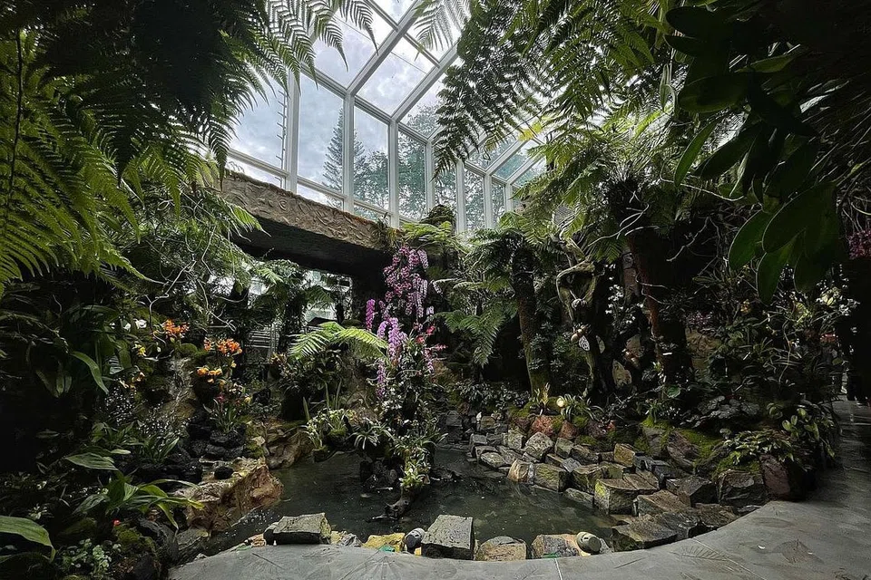 CANTIK DAN MENAWAN: Pelbagai spesis orkid dapat dilihat di Tropical Montane Orchidetum yang dilancarkan Perdana Menteri Lee Hsien Loong dan dihadiri Encik Desmond Lee. Ia direka khas untuk mereplikasikan simulasi pengalaman mendaki hutan pergunungan tropikal dan menampilkan orkid serta tumbuh-tumbuhan lain (gambar atas). - Foto BM oleh GIN TAY