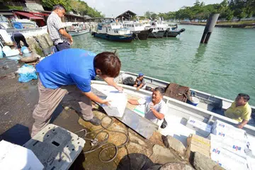 AVA: S'pura bersedia jika M'sia sekat eksport makanan laut