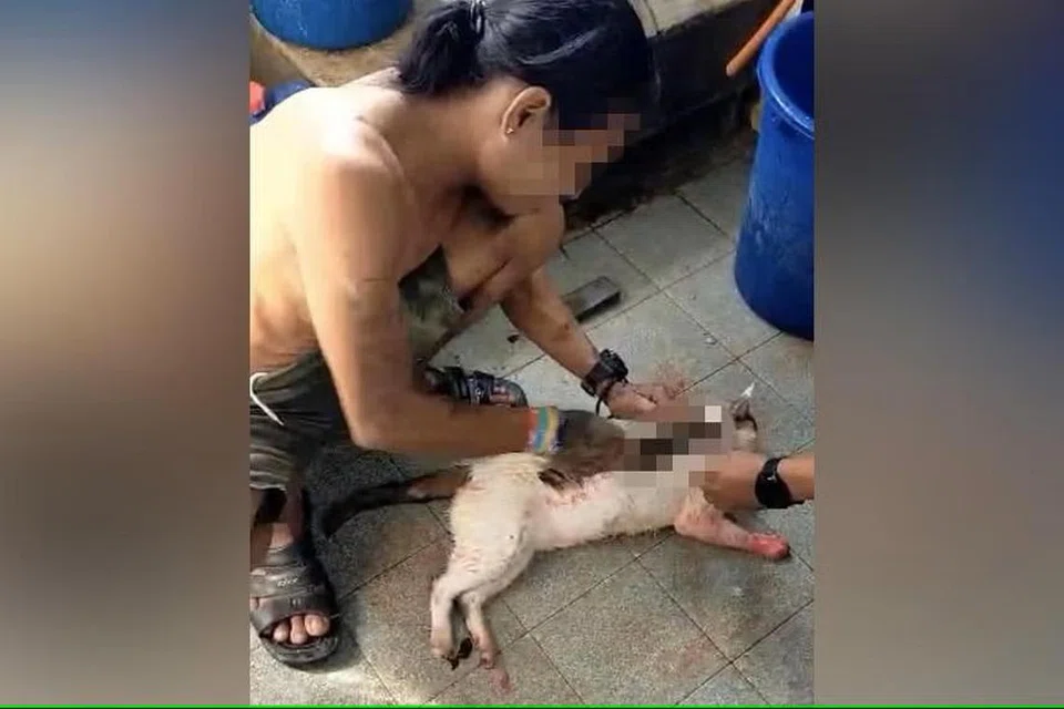 Seorang lelaki yang dipercayai dari Myanmar dirakam menyiat kulit seekor kucing di Selangor.