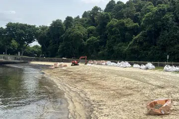 Pulau Lazarus atau dikenali sebagai Pulau Sekijang Pelepah, sebelum ini ditutup untuk kerja pembersihan, selepas kejadian tumpahan minyak pada 14 Jun.