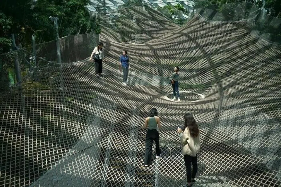 jewel, airport, walking net