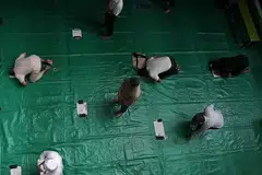 HIDUP WASATIYYAH: Menurut penulis, keputusan penutupan masjid memilukan kita, namun sebagai ummat wasat, kita seharusnya adil, sederhana dan seimbang dalam menerima panduan secara ilmiah dan praktikal bagi kepentingan bersama. - Foto BM oleh KELVIN CHNG