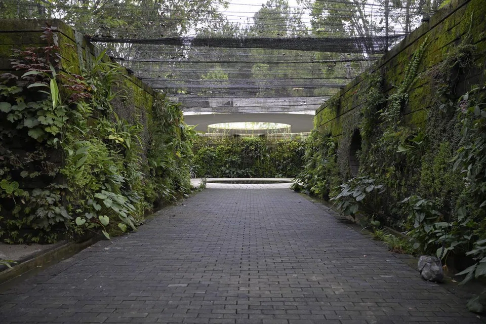 Taman Tenggelam (Sunken Garden) di Taman Jepun serupa gaung dengan tumbuhan di dinding setinggi 3.5 meter