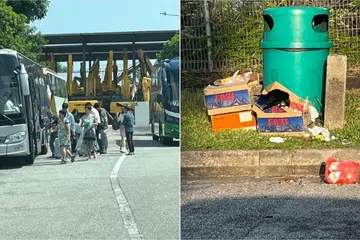 Apabila pelancong berpindah dari satu bas ke bas yang lain di sepanjang jalan di Tuas, sebahagian daripada mereka meninggalkan sampah di kawasan tersebut sehingga mengundang banyak burung gagak. 