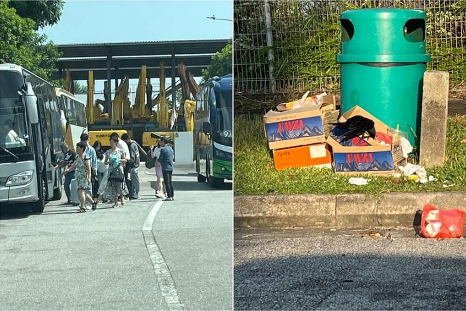 Apabila pelancong berpindah dari satu bas ke bas yang lain di sepanjang jalan di Tuas, sebahagian daripada mereka meninggalkan sampah di kawasan tersebut sehingga mengundang banyak burung gagak. 