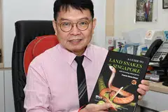 Pakar bedah kolorektum, Dr Francis Seow-Choen, melancarkan bukunya, ‘A Guide to Land Snakes of Singapore (Panduan Ular Darat Singapura)‘ yang mengandungi koleksi foto ular serta maklumat tentang pelbagai spesies yang terdapat di Singapura.
