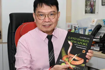 Pakar bedah kolorektum, Dr Francis Seow-Choen, melancarkan bukunya, ‘A Guide to Land Snakes of Singapore (Panduan Ular Darat Singapura)‘ yang mengandungi koleksi foto ular serta maklumat tentang pelbagai spesies yang terdapat di Singapura.
