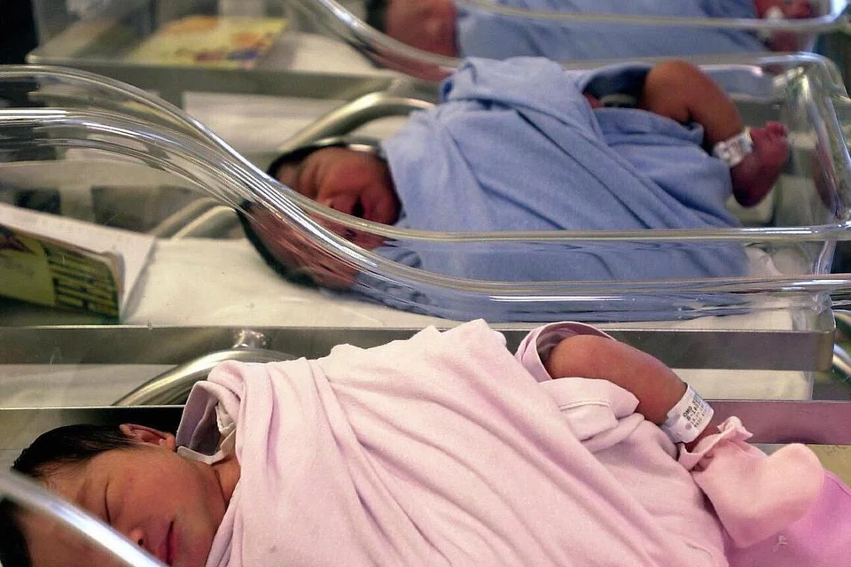 kadar kesuburan singapura