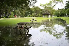 BANJIR: Air pasang di East Coast Park pada 11.30 pagi pada 12 Januari menyebabkan air laut melimpah keluar hingga membanjiri kawasan berumput ini.