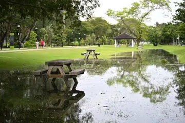 BANJIR: Air pasang di East Coast Park pada 11.30 pagi pada 12 Januari menyebabkan air laut melimpah keluar hingga membanjiri kawasan berumput ini.