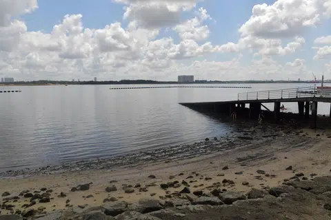 Penggemar pantai dinasihatkan oleh Agensi Sekitaran Kebangsaan (NEA) supaya tidak berenang atau melakukan kegiatan di mana seluruh badan atau muka kerap bersentuhan dengan air di Pantai Taman Sembawang.