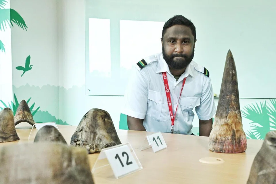 Sats, Lapangan Terbang Changi, Vengadeswaran Letchumanan, tanduk badak sumbu putih, seludup