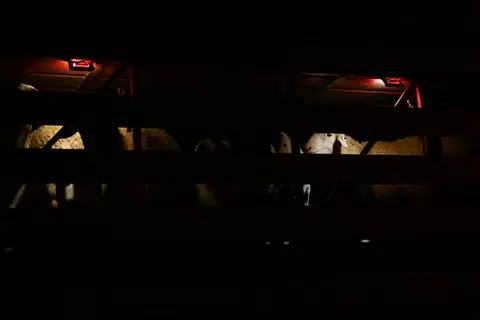 Fajar menyingsing dan kambing-kambing yang telah dimasukkan dalam lori treler bak menanti dengan sabar untuk pemandu menggerakkan lori. Perjalanan dari ladang ke lapangan terbang mengambil masa lebih empat jam.
