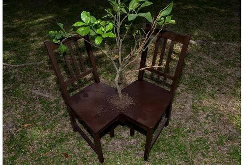 DICORAK SEKITARAN: Penggunaan kayu dalam karya seni berupa cantuman dua kerusi dan tumbuhan menghijau ini menggambarkan keadaan manusia yang dicorak sekitaran dan berdepan dengan halangan dalam berkomunikasi.