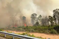 jerebu, Kebakaran hutan paya gambut, Pengerang, Johor,