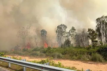 jerebu, Kebakaran hutan paya gambut, Pengerang, Johor,
