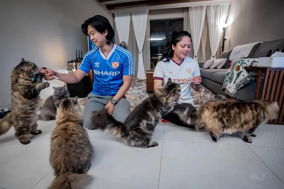 Selepas berkahwin pada 2018, Encik Muhammad Yusri Rohman dan Cik Siti Sufea Sa’adon membela enam ekor kucing – Ruby, Hunter, Yusuf, Riea, Saga dan Kago – di rumah mereka di Choa Chu Kang.