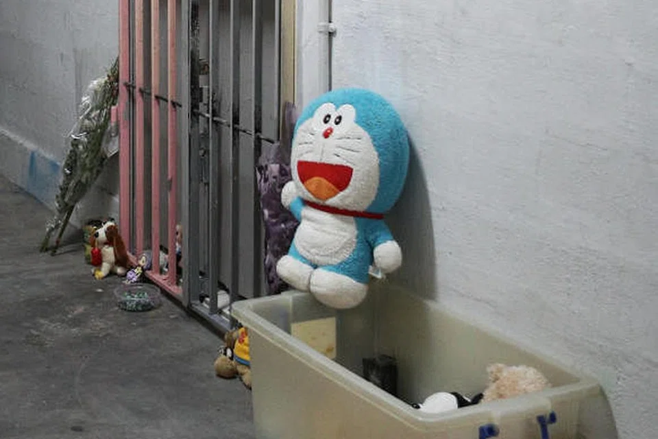 Wanita itu dan suaminya didakwa pada September 2019 kerana membunuh anak perempuan mereka di sebuah flat di Chin Swee Road pada Mac 2014.
