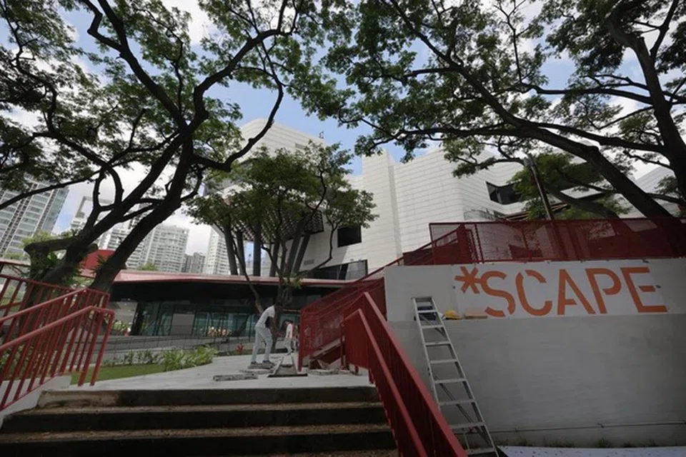 *Scape, Somerset, hab belia
