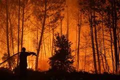 kebakaran hutan perancis
