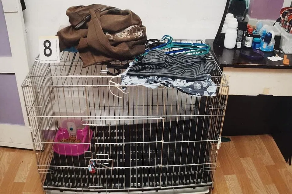 ANAK DIKURUNG DALAM SANGKAR HAIWAN: Selain mendera anak dengan mencubitnya dengan playar, memukulnya dengan penyapu dan melecur tapak tangannya dengan sudu yang dipanaskan, kanak-kanak itu juga di kurung. - Foto BAHAN MAHKAMAH