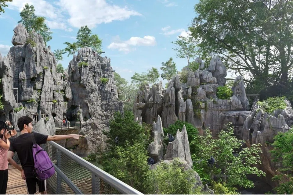 Di kawasan The Karsts di  di taman hidupan liar Rainforest Wild Asia  yang bakal dibuka pada Mac 2025, pengunjung boleh menyaksikan lotong Francois berayun dan melompat di kanopi yang mempunyai pembentukan batu kapur.