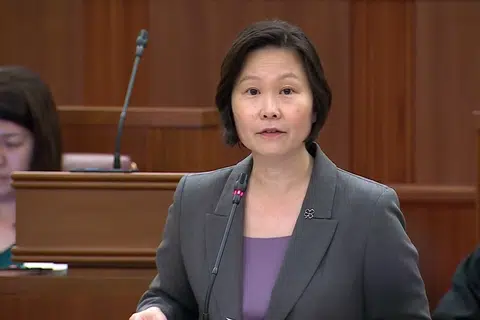 Gan Siow Huang, tarif, farmaseutikal