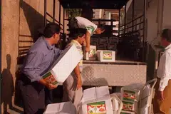 Para pegawai penjara sibuk memunggah kurma ke dalam lori untuk dihantar ke pusat-pusat pemulihan dadah (DRC) dan penjara-penjara di sini dalam gambar yang dipetk pada Januari 1996 ini. 