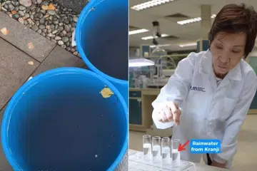 Pemeriksaan yang dijalankan agensi air kebangsaan PUB tidak menemui sebarang perubahan luar biasa pada mutu air dirawat Singapura.