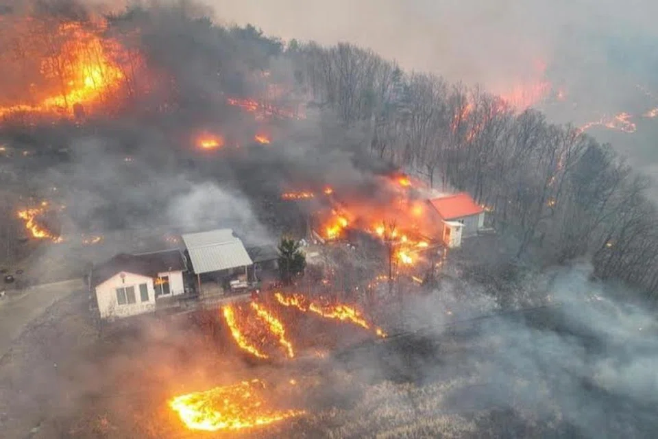 Kebakaran hutan merebak di seluruh wilayah tenggara Korea Selatan pada 25 Mac 2025, memaksa beribu-ribu penduduk meninggalkan rumah mereka.