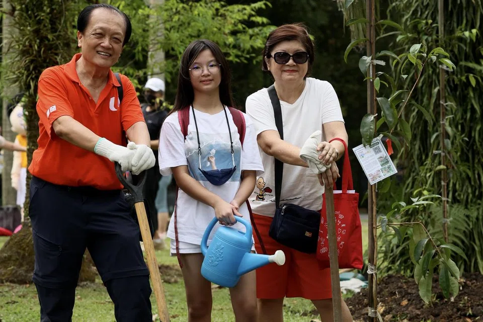 TANAM POKOK: Encik Leong Chun Chong (paling kiri) bersama cucunya Celyn Sim (tengah) dan isterinya Lily (kanan), bersebelahan pokok Derum Bukit yang mereka tanam di Taman Pasir Ris pada Sabtu.