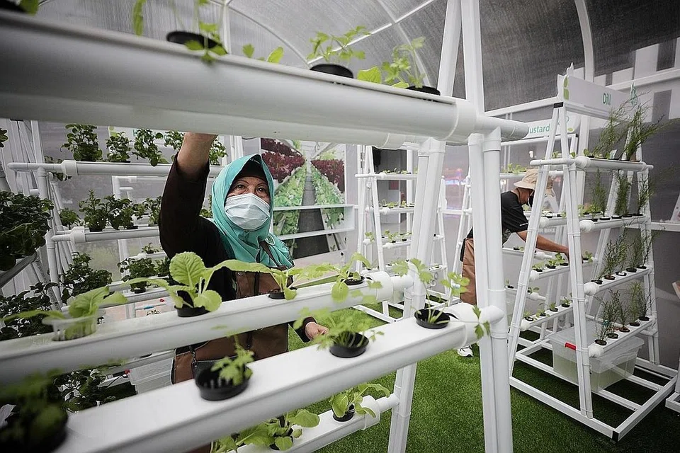 - Foto BM oleh JASON QUAH