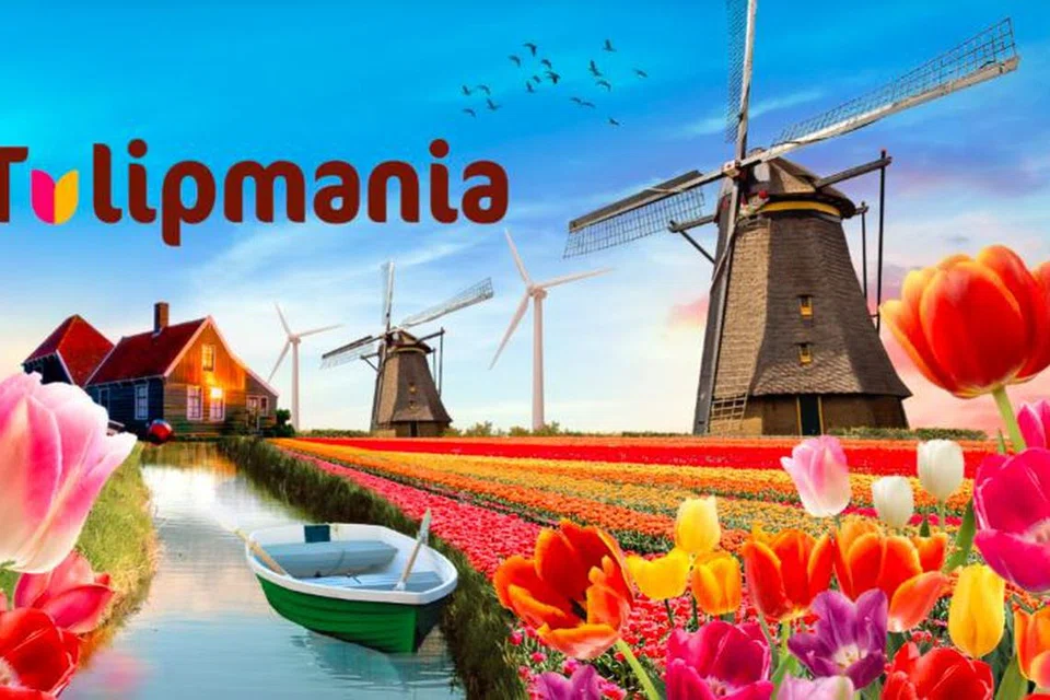 Nikmati suasana tenteram dikelilingi bunga tulip apabila anda mengunjungi pameran, ‘Tulipmania’ di Gardens by the Bay. 
