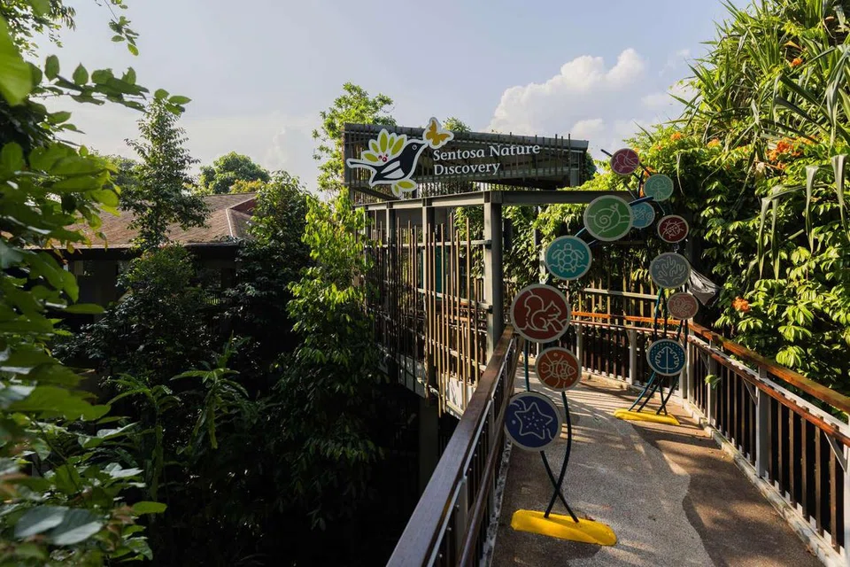 ‘Sentosa Nature Discovery’ menampilkan galeri alam semula jadi interaktif yang memperkenalkan lapan habitat unik Sentosa, pameran geologi, serta aktiviti khas pemuliharaan flora dan fauna tempatan di ‘Imbiah Lookout’.