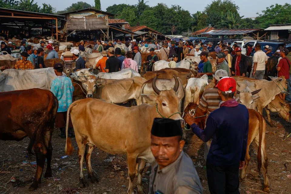 Aidiladha Indonesia, haiwan korban, pemacu ekonomi