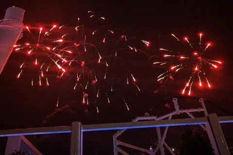Pertunjukan bunga api ‘The Lion King: Celebration in the Sky’ menerangi langit dari dek atas kapal.