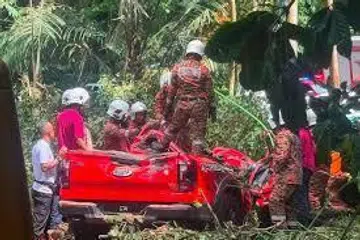 Empat sekeluarga maut, kenderaan dihempap pokok tumbang, Pahang