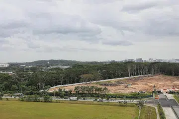 KESILAPAN: Siasatan sedang dijalankan setelah sebahagian kawasan hutan Kranji yang diperuntuk bagi projek Taman Inovasi Agro-Makanan ditebang, meski kajian dasar kepelbagaian bio bagi kawasan itu masih dijalankan pihak berkuasa. - Foto ZAOBAO