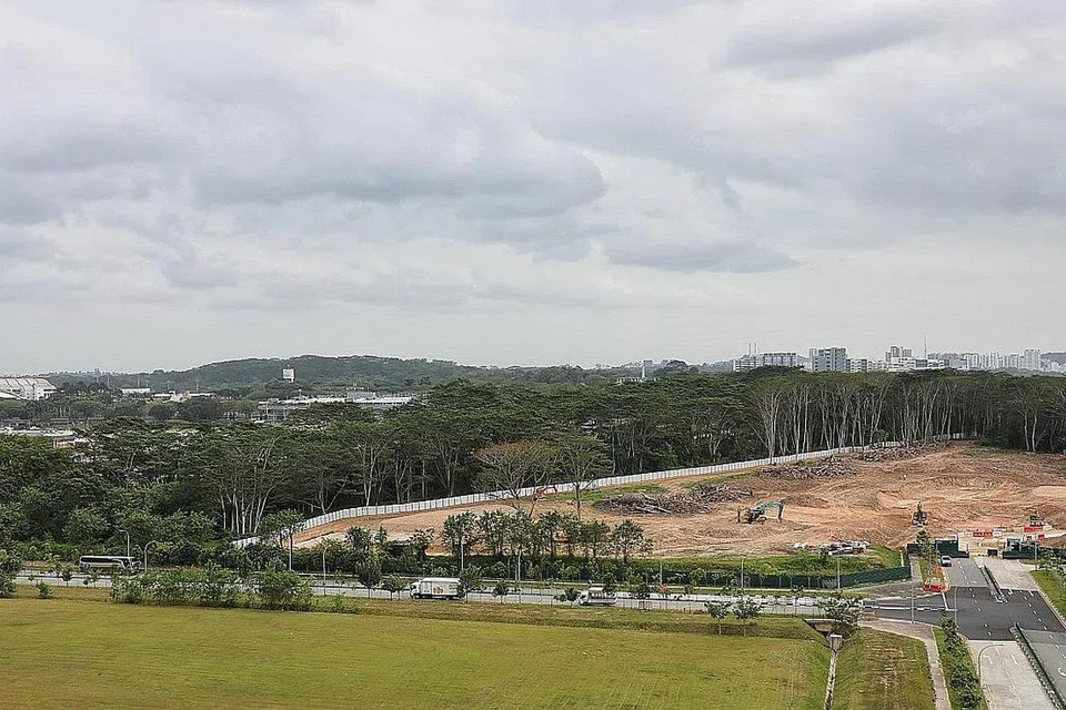 KESILAPAN: Siasatan sedang dijalankan setelah sebahagian kawasan hutan Kranji yang diperuntuk bagi projek Taman Inovasi Agro-Makanan ditebang, meski kajian dasar kepelbagaian bio bagi kawasan itu masih dijalankan pihak berkuasa. - Foto ZAOBAO